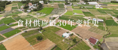 食材供应链30年：变化取沉塑